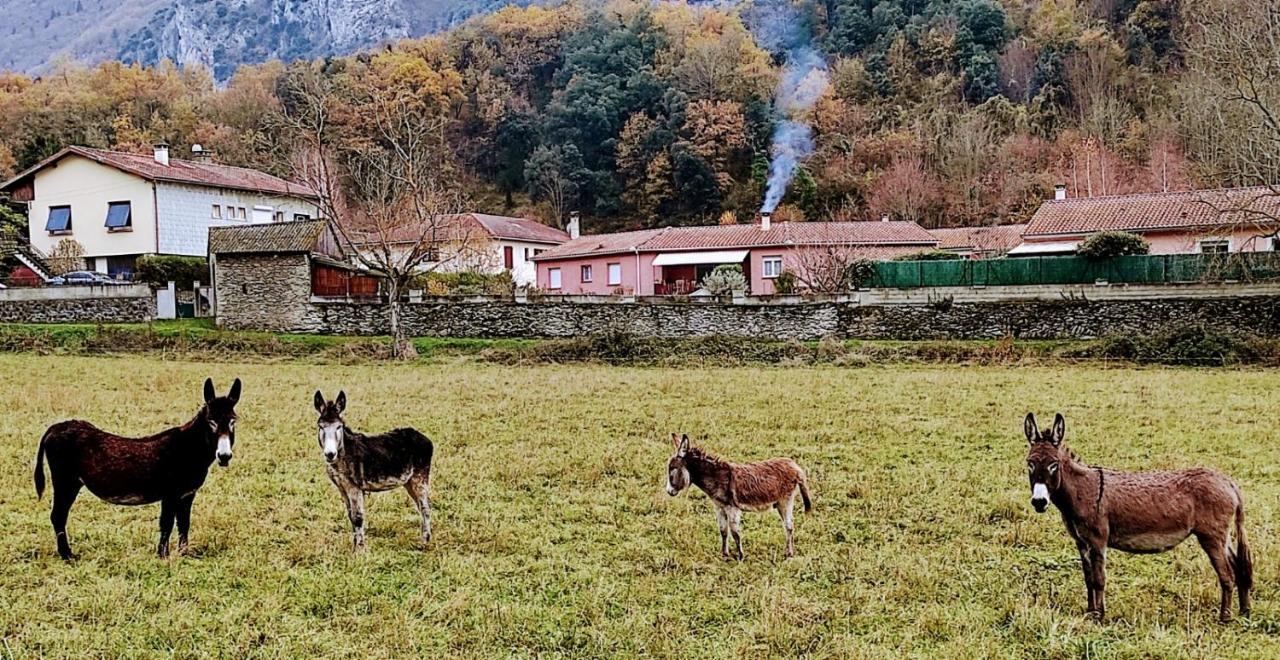 Apartamento Le Nopal Bleu Tarascon-sur-Ariège Exterior foto